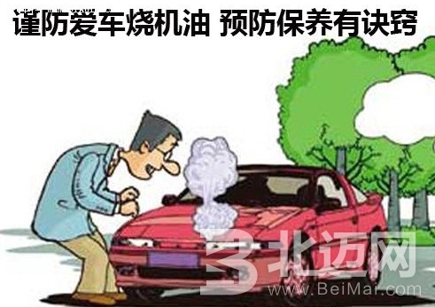 汽車燒油怎么辦？教你預防汽車燒油