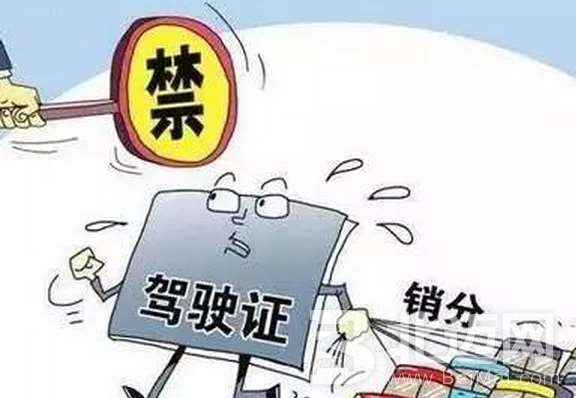 車可以用幾個駕照消分